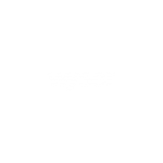 logo wyser